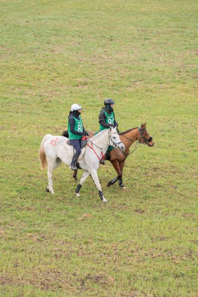 Endurance Riding Competition | 20–22 March 2026