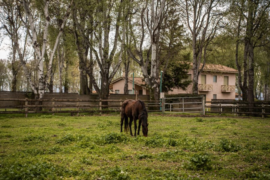 Endurance Riding Competition | 20–22 March 2026