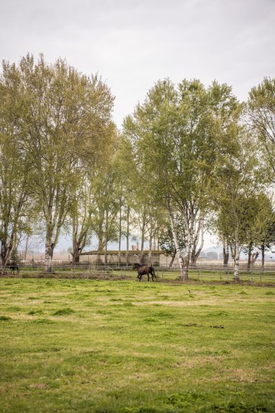 Endurance Riding Competition | 20–22 March 2026