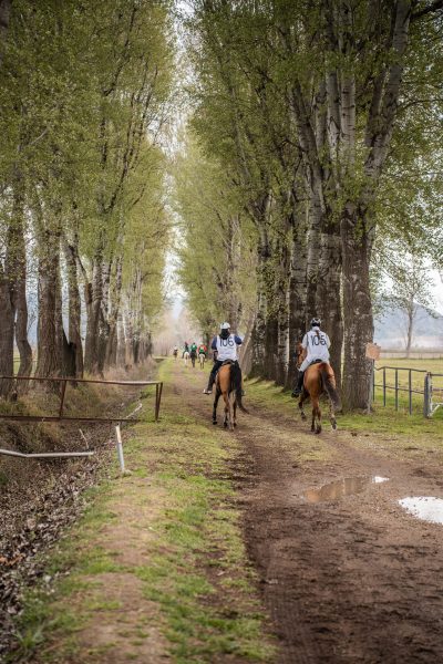 Endurance Riding Competition | 20–22 March 2026